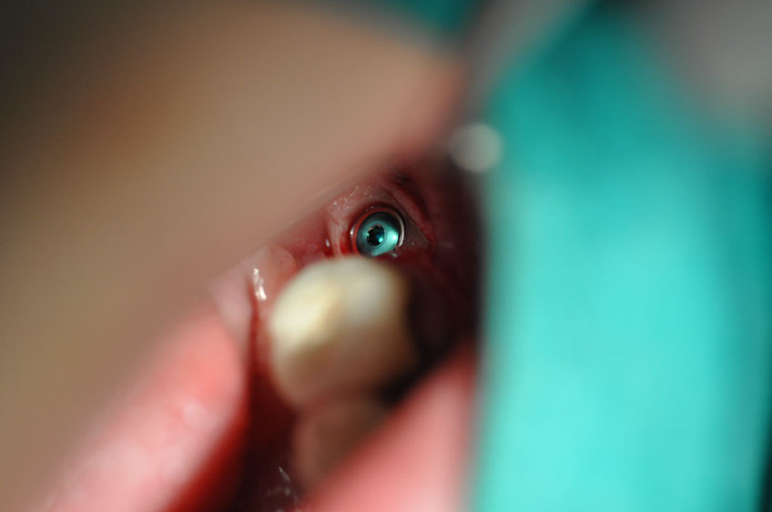 %_tempFileNameImplant%2058c1%