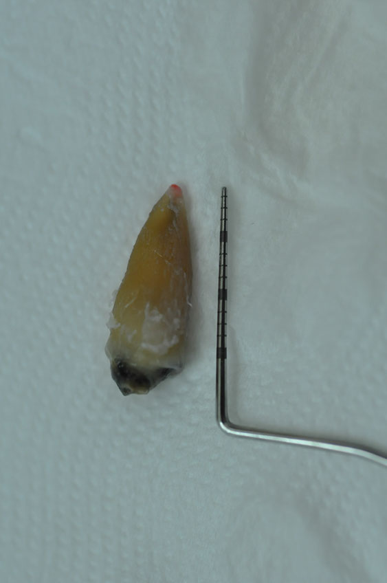 %_tempFileNameImplant%2095a5%