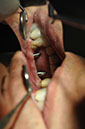 %_tempFileNameIMplant%2040b4%