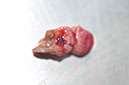 %_tempFileNameImplant%20105a4%