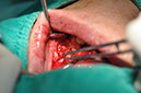 %_tempFileNameImplant%20109b3%