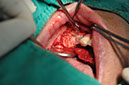 %_tempFileNameImplant%20109b4%