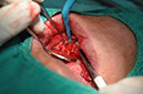 %_tempFileNameImplant%20109b7%