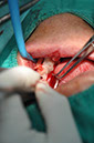 %_tempFileNameImplant%20109b8%