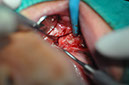 %_tempFileNameImplant%20109c5%