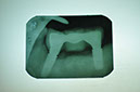 %_tempFileNameImplant%20109e8%