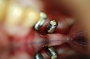 %_tempFileNameImplant%2010f2%