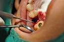 %_tempFileNameImplant%20113a2%