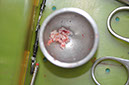 %_tempFileNameImplant%20113b6%