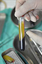 %_tempFileNameImplant%20115Eb3%