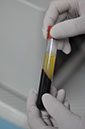 %_tempFileNameImplant%20118a8%