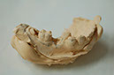 %_tempFileNameImplant%2011a1%