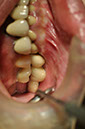 %_tempFileNameImplant%2017c4%