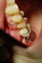 %_tempFileNameImplant%2023c2%