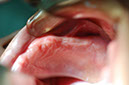 %_tempFileNameImplant%2026b2%