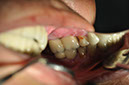 %_tempFileNameImplant%2030f%