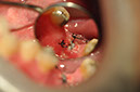%_tempFileNameImplant%2032La2%