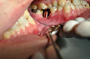 %_tempFileNameImplant%2032La6%