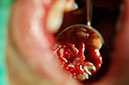 %_tempFileNameImplant%2032d2%
