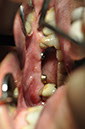 %_tempFileNameImplant%2040b2%