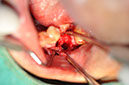 %_tempFileNameImplant%2044b%
