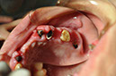 %_tempFileNameImplant%2053a3%