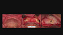 %_tempFileNameImplant%2053h1%