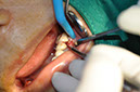 %_tempFileNameImplant%2058a2%