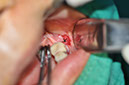 %_tempFileNameImplant%2058b2%
