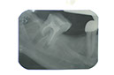 %_tempFileNameImplant%205p%