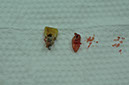 %_tempFileNameImplant%2061a4%