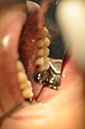 %_tempFileNameImplant%2064a1%