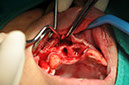 %_tempFileNameImplant%2066a2%