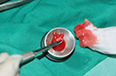 %_tempFileNameImplant%2079b4%