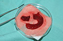 %_tempFileNameImplant%2079b6%