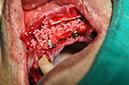 %_tempFileNameImplant%2080b5%