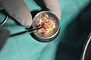 %_tempFileNameImplant%2090b3%