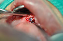 %_tempFileNameImplant%2092a7%