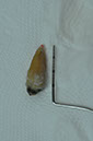 %_tempFileNameImplant%2095a5%