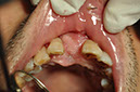 %_tempFileNameImplant%2096c1%