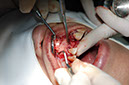 %_tempFileNameImplant%209d3%
