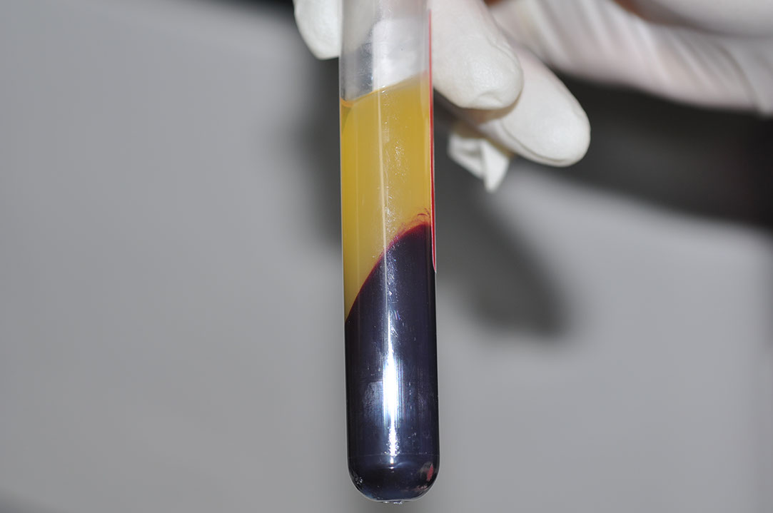 %_tempFileNameDSC_0130%