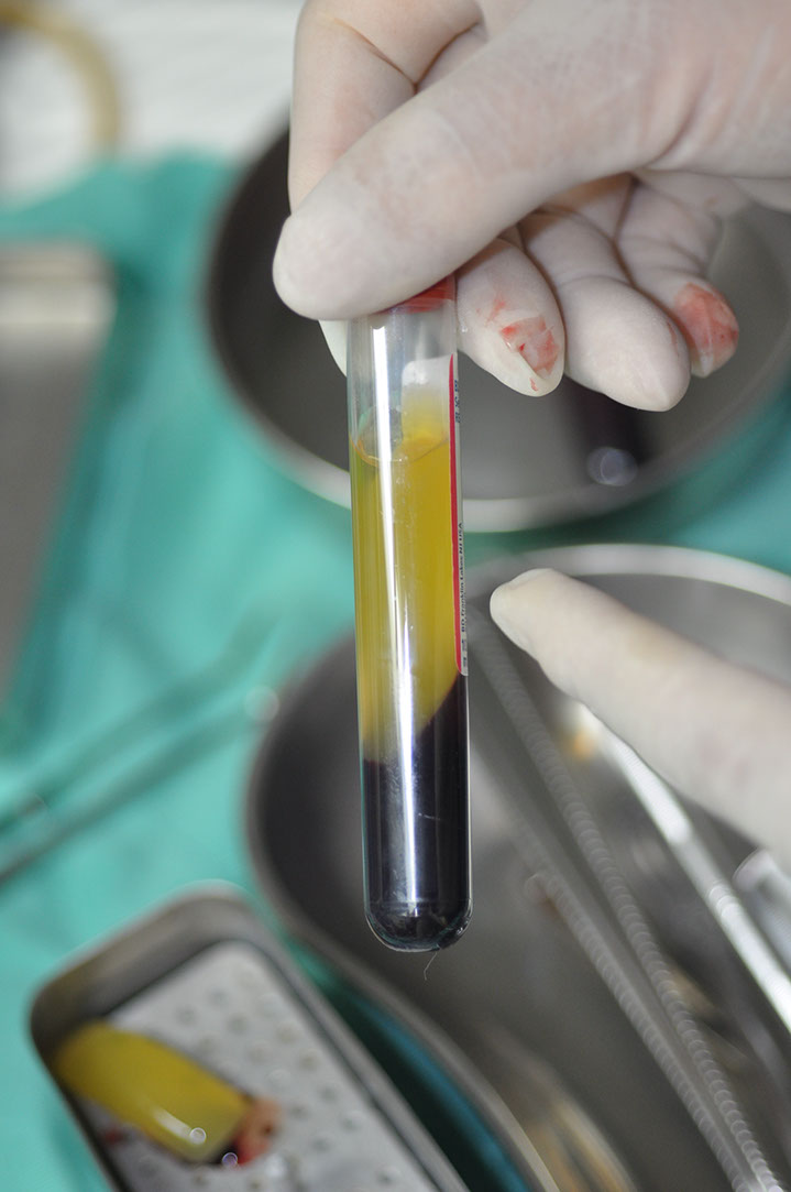 %_tempFileNameImplant%20115Eb3%