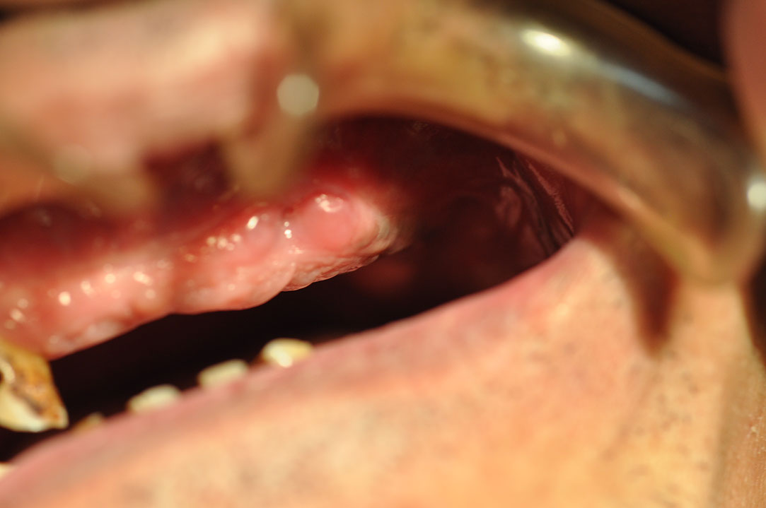 %_tempFileNameImplant%20118a2%