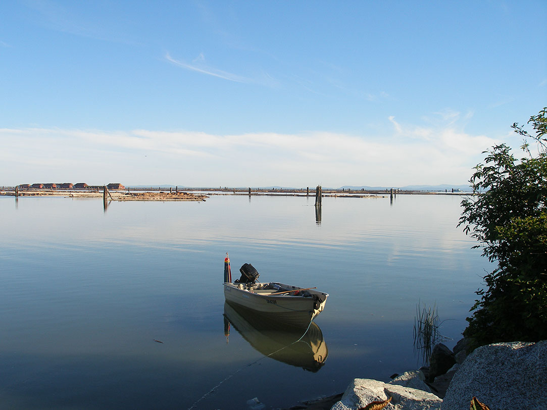 Implant 118 黃森坤