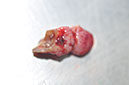 %_tempFileNameImplant%20105a4%