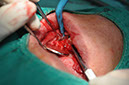 %_tempFileNameImplant%20109b7%