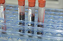 %_tempFileNameImplant%20113b3%