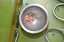 %_tempFileNameImplant%20113b6%