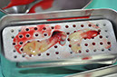 %_tempFileNameImplant%20115a8%